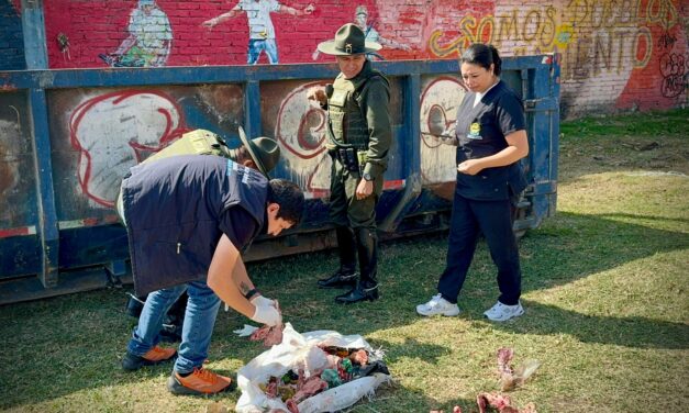 Autoridades ambientales confirman que hallazgo de restos animales en el Barrio Camilo Torres corresponde a cabezas de cerdo y no de canino