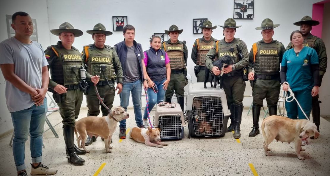 Atención inmediata ante caso de maltrato animal bajo el Puente Chune en Popayán