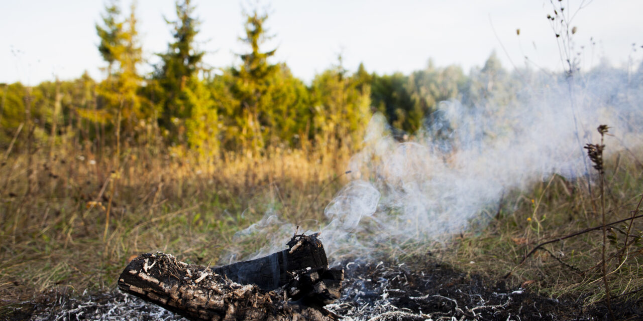 Recomendaciones para prevenir incendios forestales y qué debe hacer en caso de uno