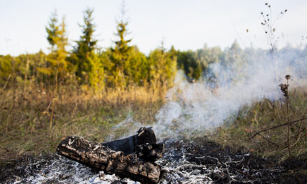 Recomendaciones para prevenir incendios forestales y qué debe hacer en caso de uno