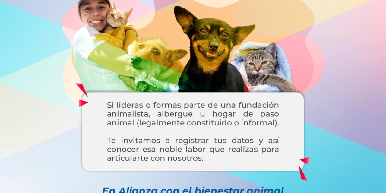 Plan de apoyo a hogares de paso en Popayán