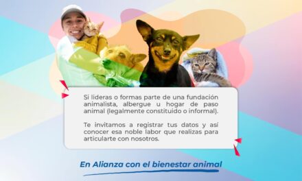 Plan de apoyo a hogares de paso en Popayán