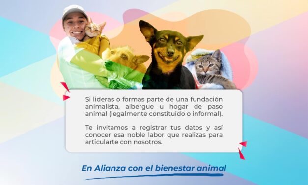 Plan de apoyo a hogares de paso en Popayán