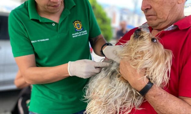 Bienestar para los peluditos de Popayán