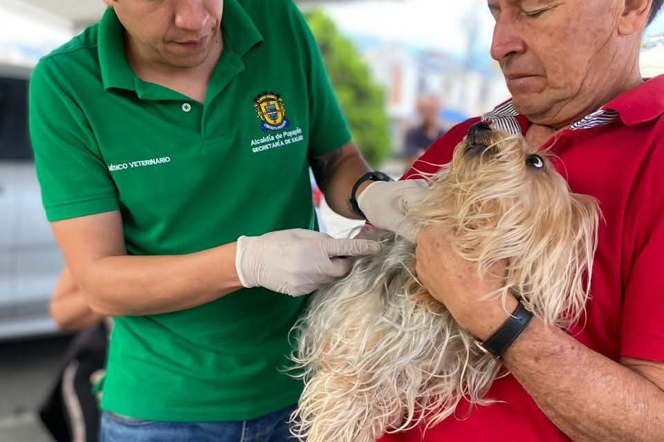 Bienestar para los peluditos de Popayán