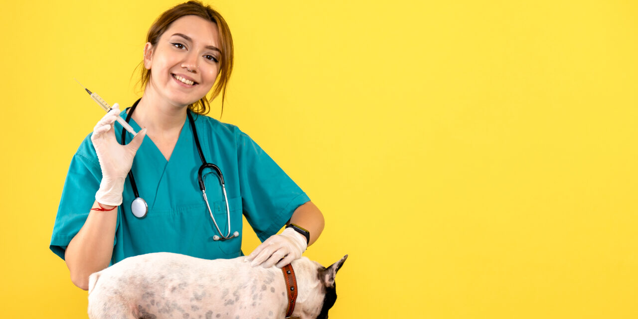 Alcaldía de Popayán rechaza actos violentos contra animales