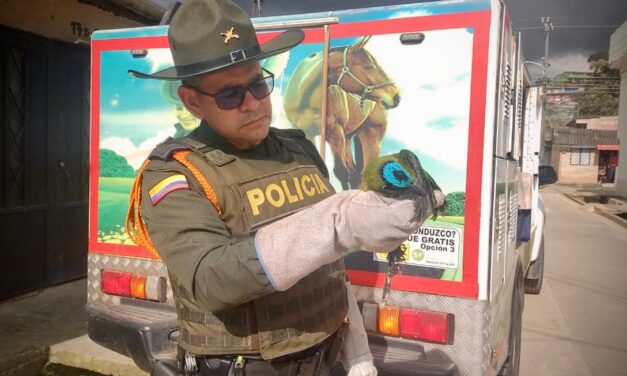Protegiendo la fauna silvestre en Popayán: Policía Nacional rescata a más de 30 animales
