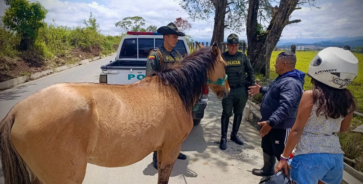 La seguridad rural en Popayán, una prioridad para las autoridades