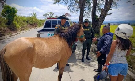 La seguridad rural en Popayán, una prioridad para las autoridades