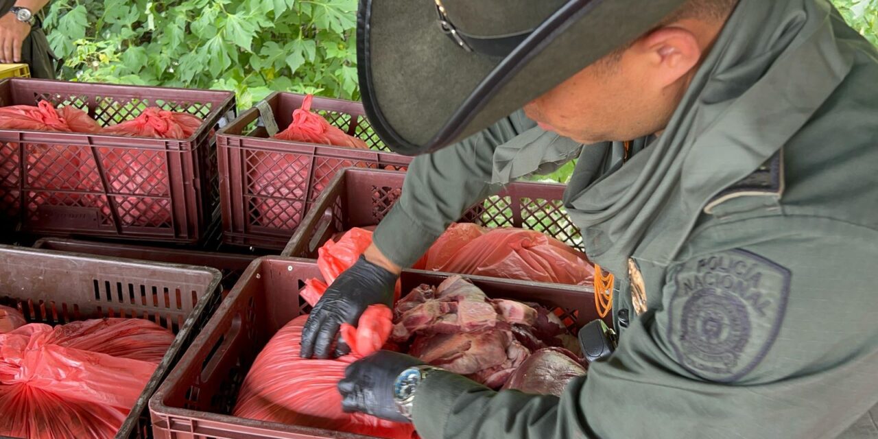 Incautados más de 1.900 kilogramos de carne sin documentación sanitaria en Popayán