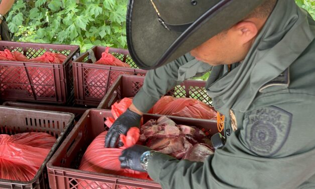 Incautados más de 1.900 kilogramos de carne sin documentación sanitaria en Popayán
