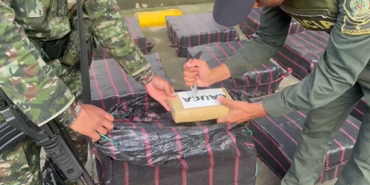 Incautación de 750 kilogramos de marihuana en zona rural de Santander de Quilichao