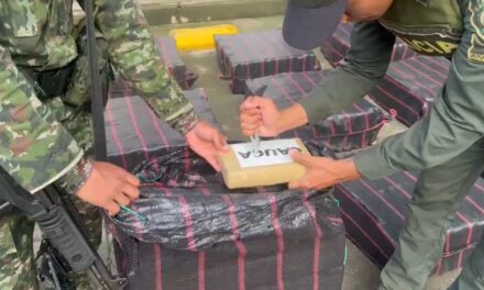 Incautación de 750 kilogramos de marihuana en zona rural de Santander de Quilichao