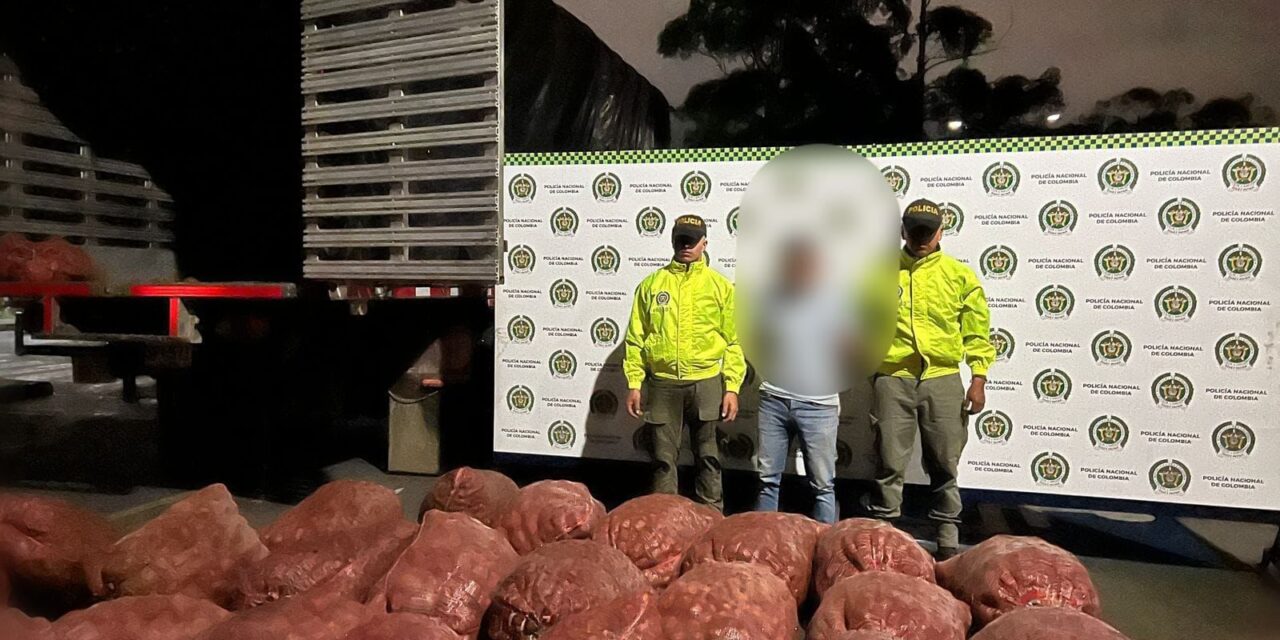Golpe al narcotráfico en el Cauca: Policía incauta casi una tonelada de marihuana oculta en bultos de papa