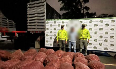 Golpe al narcotráfico en el Cauca: Policía incauta casi una tonelada de marihuana oculta en bultos de papa