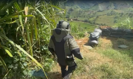 Hallazgo y activación controlada de más de 30 artefactos explosivos en el corregimiento del Plateado.