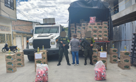 Capturan a hombre por hurto y recuperan mercancía avaluada en 300 millones en la vía Mojarras – Popayán