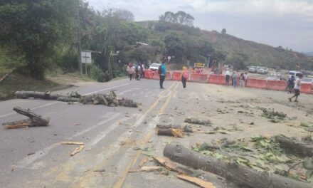 Bloqueo en la Panamericana afecta al Cauca antes del Congreso Gastronómico