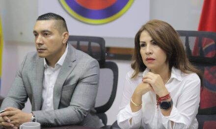 Consejo de Seguridad en el Cauca frente a la crisis de orden público