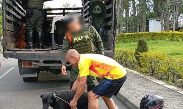 Policía de Popayán aclara traslado de caninos y destaca emotivo reencuentro