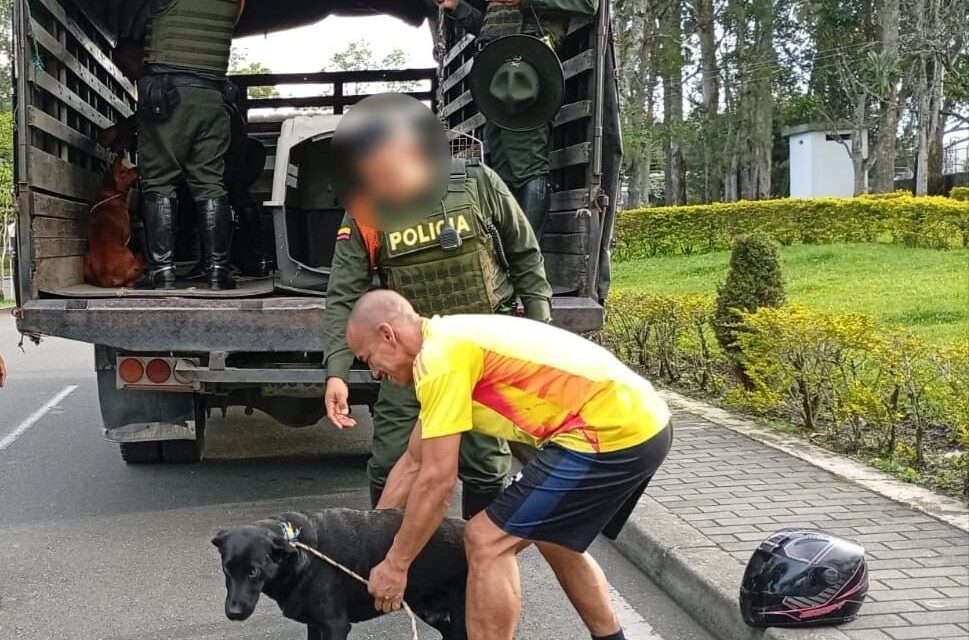Policía de Popayán aclara traslado de caninos y destaca emotivo reencuentro