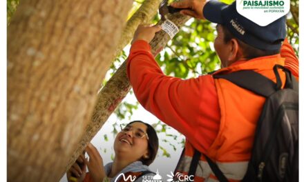 Movilidad Futura S.A.S. y la CRC culminan inventario forestal en zonas del SETP