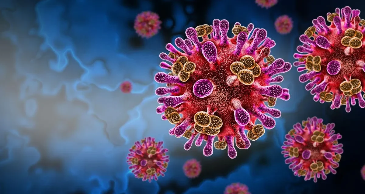 Virus Nipah: síntomas, origen y qué dice la OMS