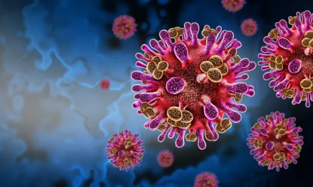 Virus Nipah: síntomas, origen y qué dice la OMS