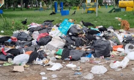 Bloqueo en Los Picachos afecta disposición de residuos: recomendaciones en Popayán