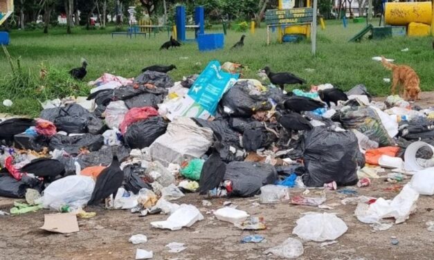 Bloqueo en Los Picachos afecta disposición de residuos: recomendaciones en Popayán