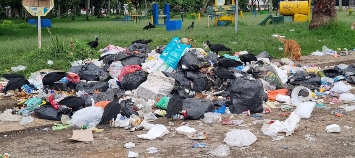 Bloqueo en Los Picachos afecta disposición de residuos: recomendaciones en Popayán