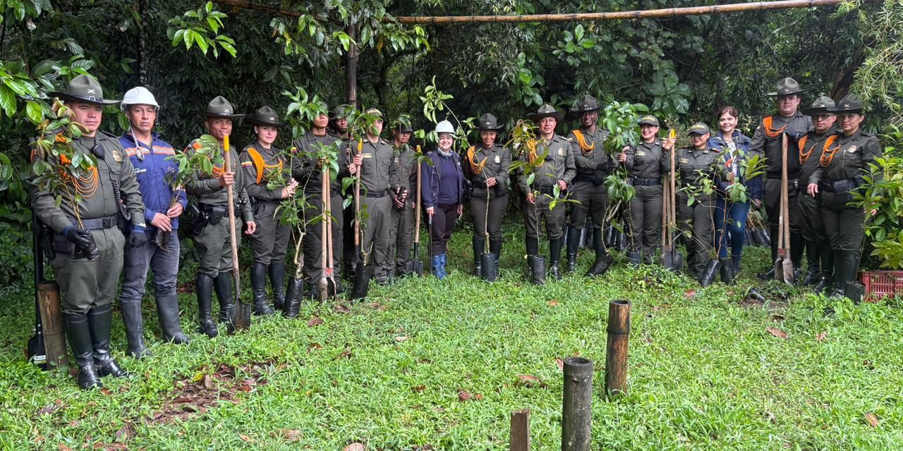 300 árboles por la vida: Popayán fortalece sus humedales