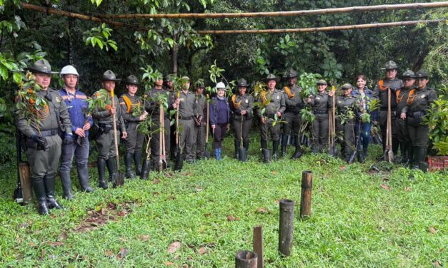 300 árboles por la vida: Popayán fortalece sus humedales
