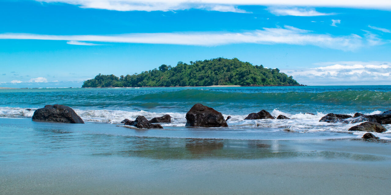 Susan Solano: del activismo ambiental a la candidatura a la Cámara por el Cauca