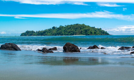 Susan Solano: del activismo ambiental a la candidatura a la Cámara por el Cauca