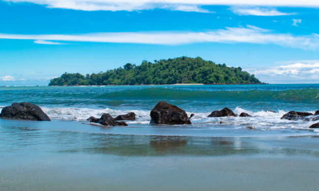 Susan Solano: del activismo ambiental a la candidatura a la Cámara por el Cauca