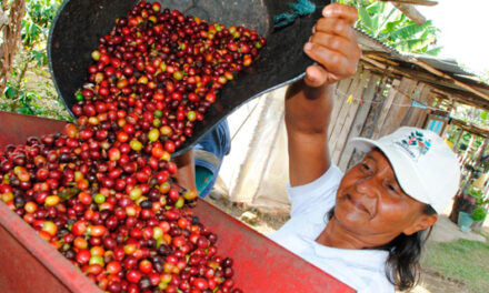 Más de 6.800 familias del Cauca se beneficiarán con inversión