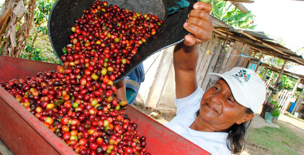 Más de 6.800 familias del Cauca se beneficiarán con inversión