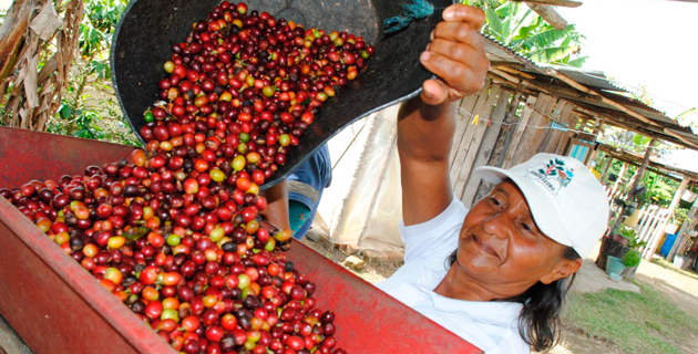Más de 6.800 familias del Cauca se beneficiarán con inversión