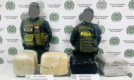 Marihuana: Incautan 42 kilos en Puerto Tejada