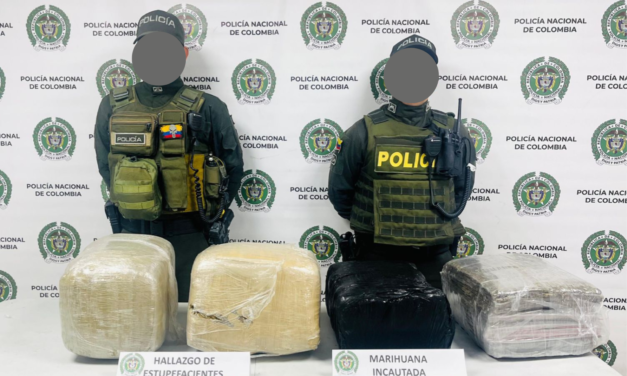 Marihuana: Incautan 42 kilos en Puerto Tejada