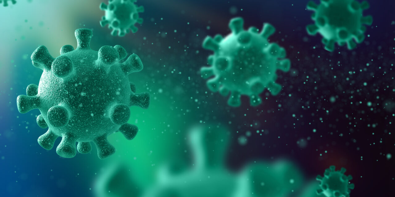 Brote de hantavirus en crucero: detectan cepa andina con transmisión entre humanos