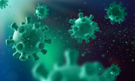 Brote de hantavirus en crucero: detectan cepa andina con transmisión entre humanos