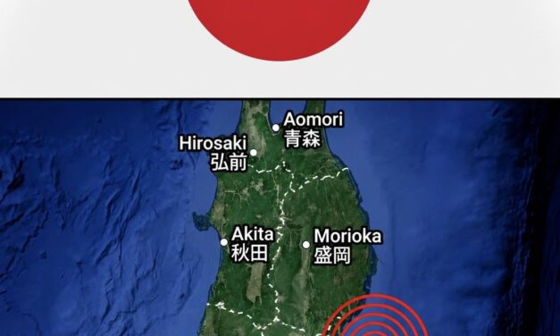 Terremoto en Japón: Sismo de magnitud 6.9