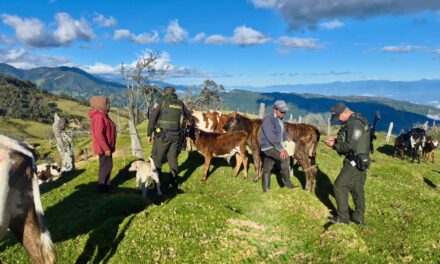 Presencia Institucional Fortalece la Seguridad Rural en Sotará