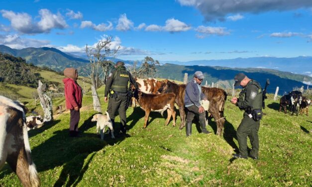 Presencia Institucional Fortalece la Seguridad Rural en Sotará