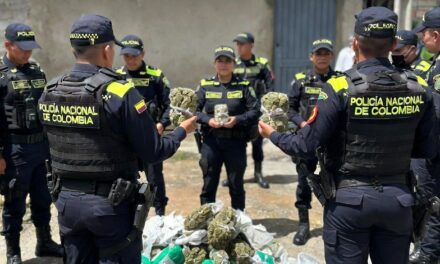 Capturado alias “Hernando”, presunto dinamizador del microtráfico en Piendamó