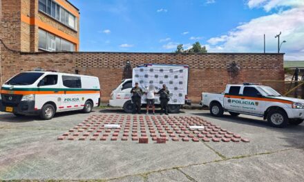 Incautación vía Panamericana: Policía incauta 192 kilos de cocaína en Cauca