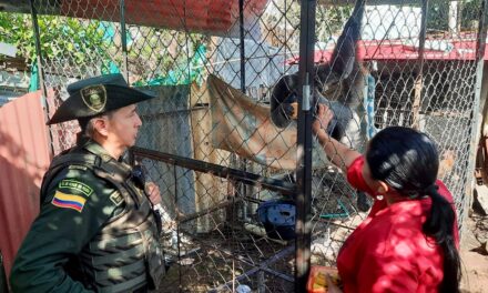 Mono Capuchino Recuperado en Popayán: Policía y CRC logran entrega voluntaria