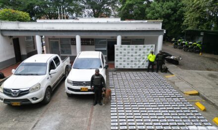 Incautación de 348 kilogramos de cocaína en Santander de Quilichao
